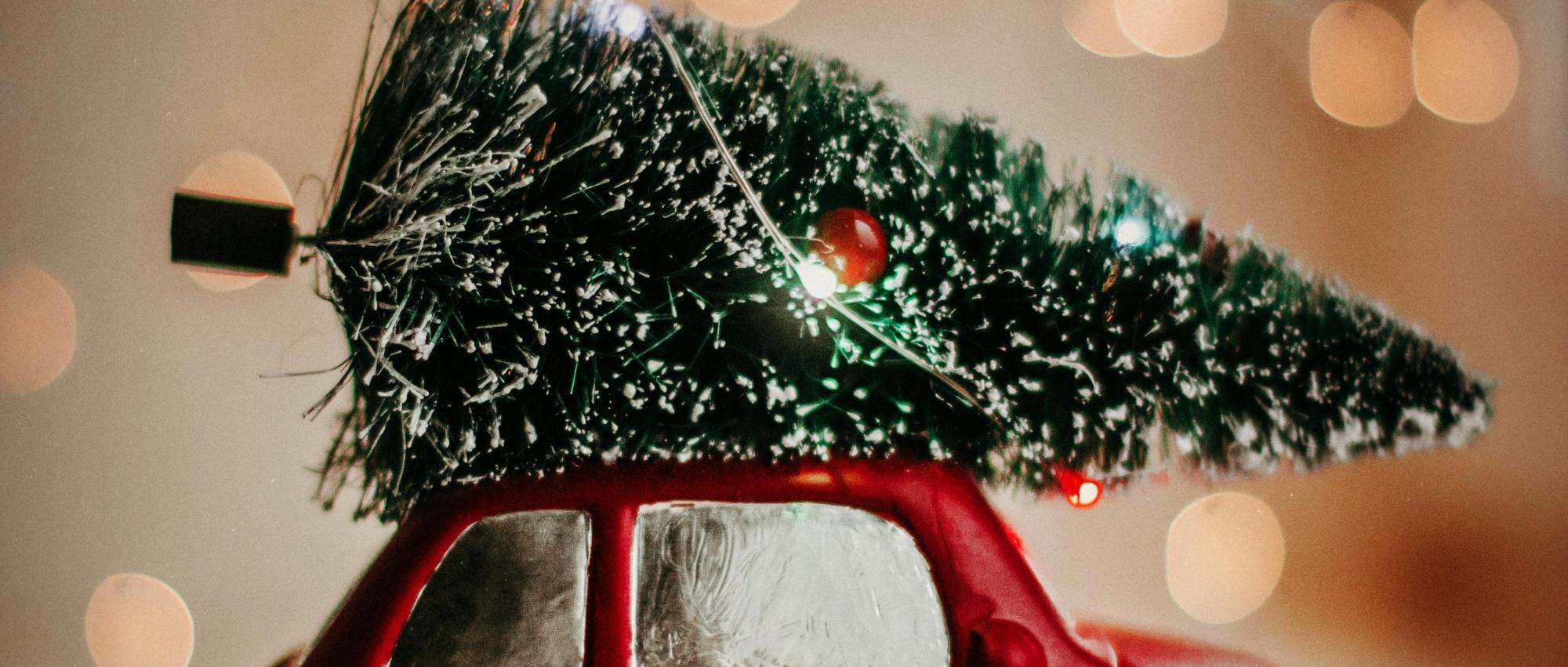 pexels-kpaukshtite-3444345