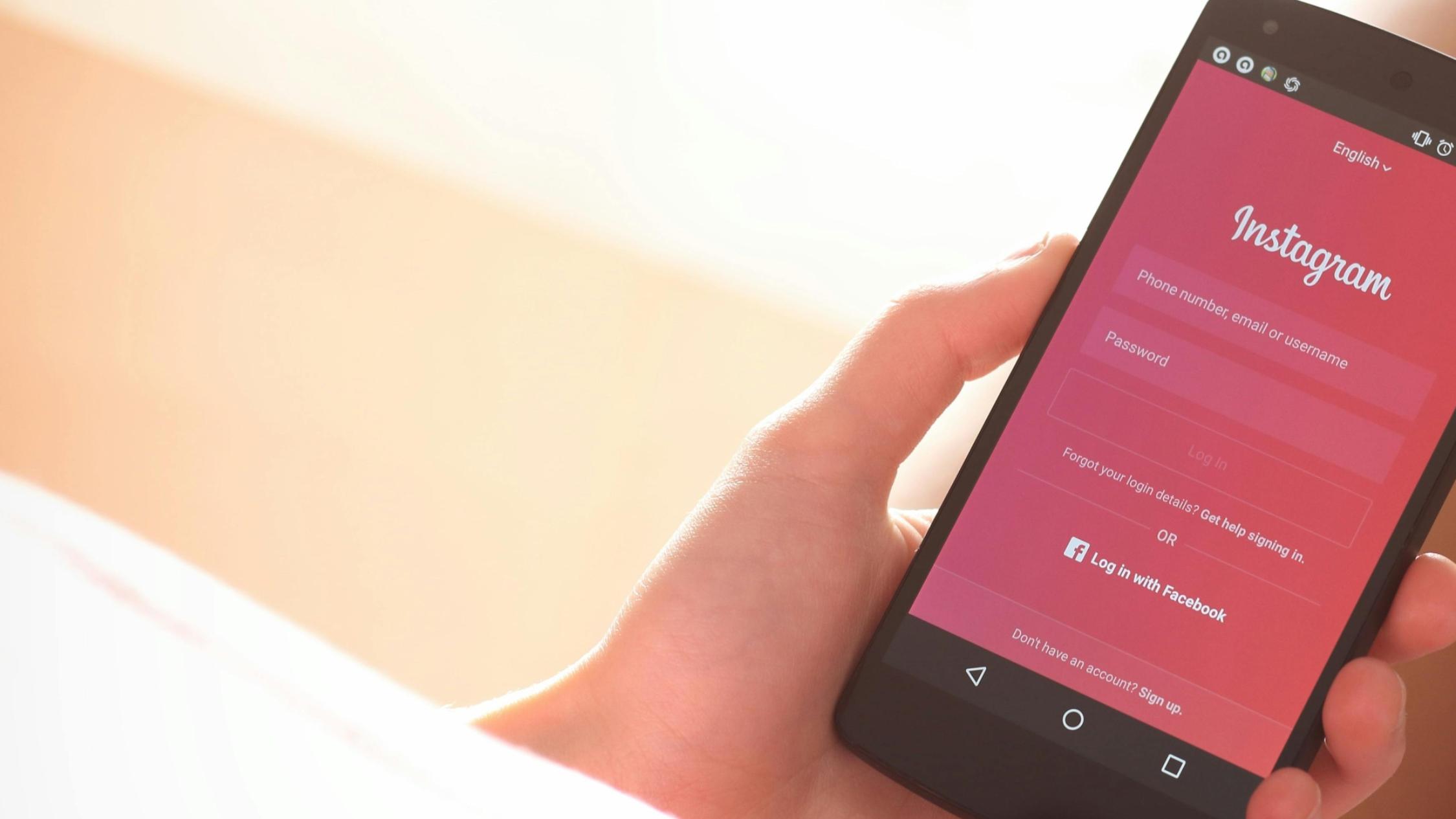 pexels-tofros-com-83191-389734